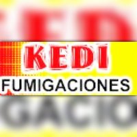 Fumigaciones kedi(@Fumigacionesked) 's Twitter Profile Photo