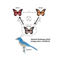 Animal Ecology Lab (@animalecolab) 's Twitter Profile
