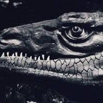 MegalosaurusCPP's profile picture. 