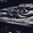 MegalosaurusCPP's profile image