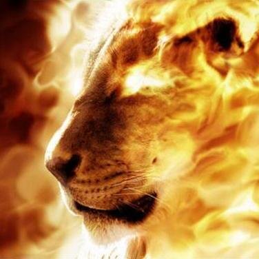 “ La più coraggiosa decisione che puoi prendere ogni giorno è di essere di buon umore” - Voltaire