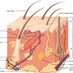 Dermatology Journal Club (@DermatologyJC) Twitter profile photo