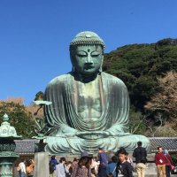 Dominic Rimmer (@domrimmer) 's Twitter Profile