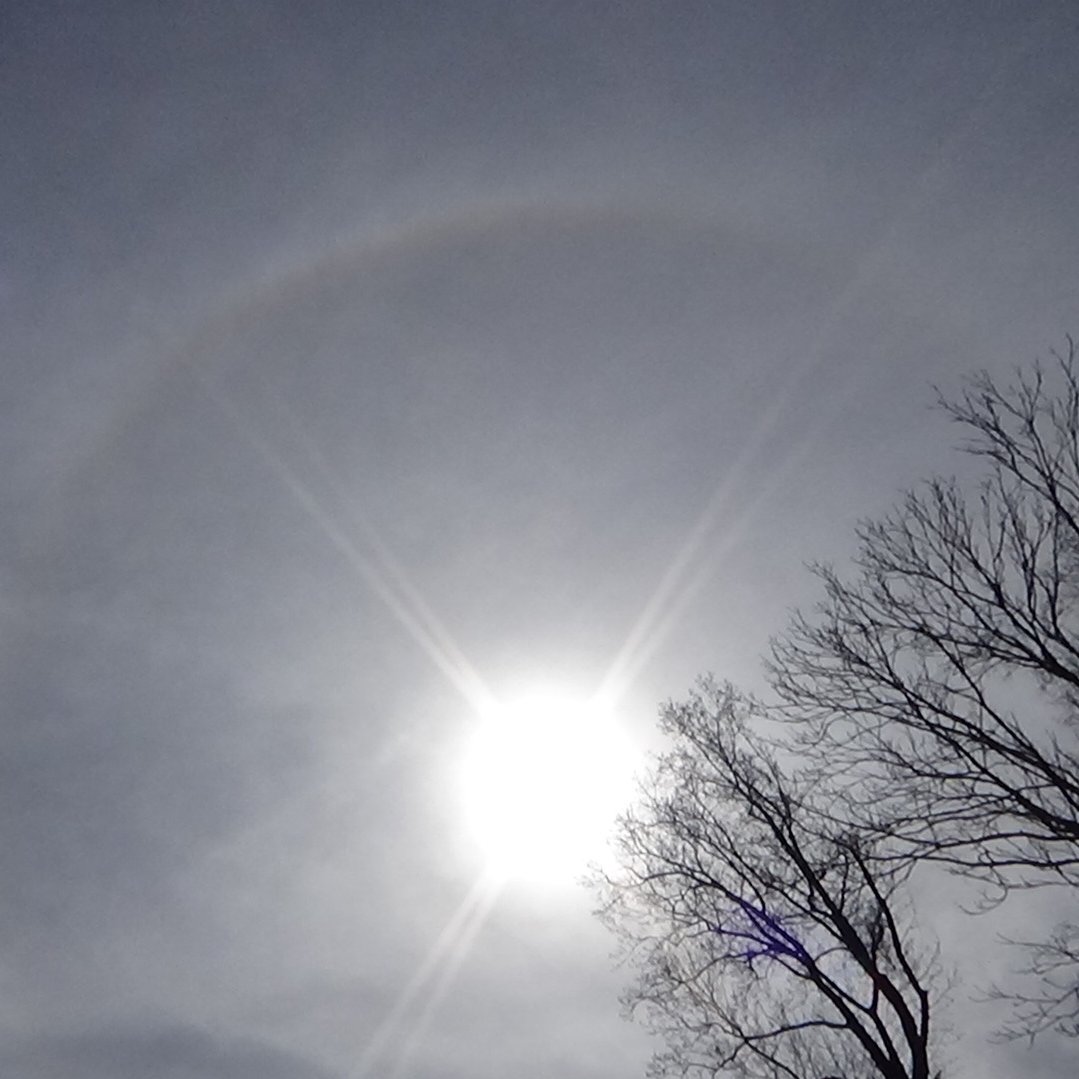 WV_Skywatcher's profile picture. Look up people, they spray us like roaches.  Is it depopulation or are they terraforming the planet.  #wedonotconsent