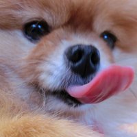 Ver-D (@versiond) 's Twitter Profile Photo