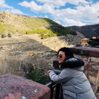 S. Irene Díaz-Rodríguez (@sirenedr) 's Twitter Profile