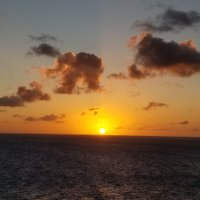 Carolyn Farrell (@4carolynfarrell) 's Twitter Profile Photo