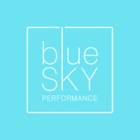 Paul Burrows (@blueskyperform) 's Twitter Profile