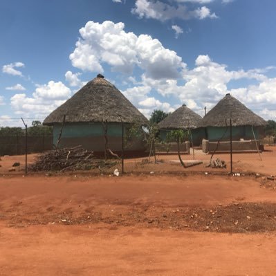 NelwamondoTsh's profile picture. I am an African.  I owe my being to the hills and the valleys, the mountains and the glades, the rivers, the deserts, the trees,