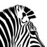 Marie Weger (@zebrastreichen) 's Twitter Profile