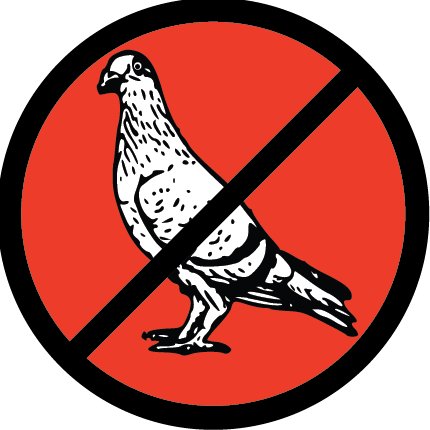 NoMorePigeons Profile Picture