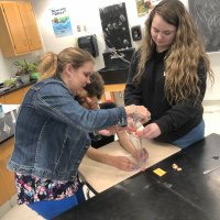 Emily Jarratt (@jarrattbioteach) 's Twitter Profile Photo Emily Jarratt (@jarrattbioteach) 's Twitter Profile Photo
