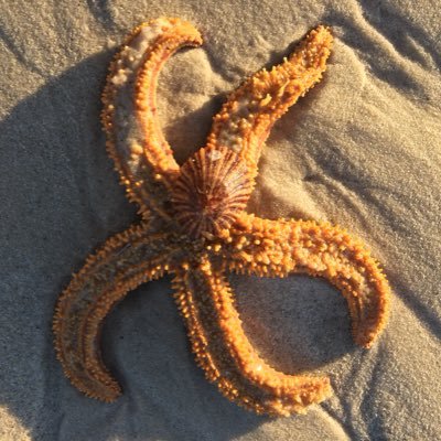 Casmo786's profile picture. 