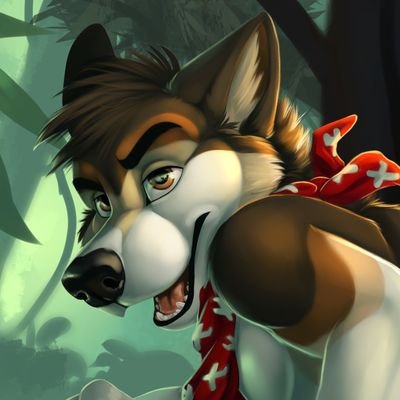 A moot trying to see the world and sharing life with fellow fuzzballs. Likes: biking, hiking, D&D, games.
single af
a jackal: @ryotjackal