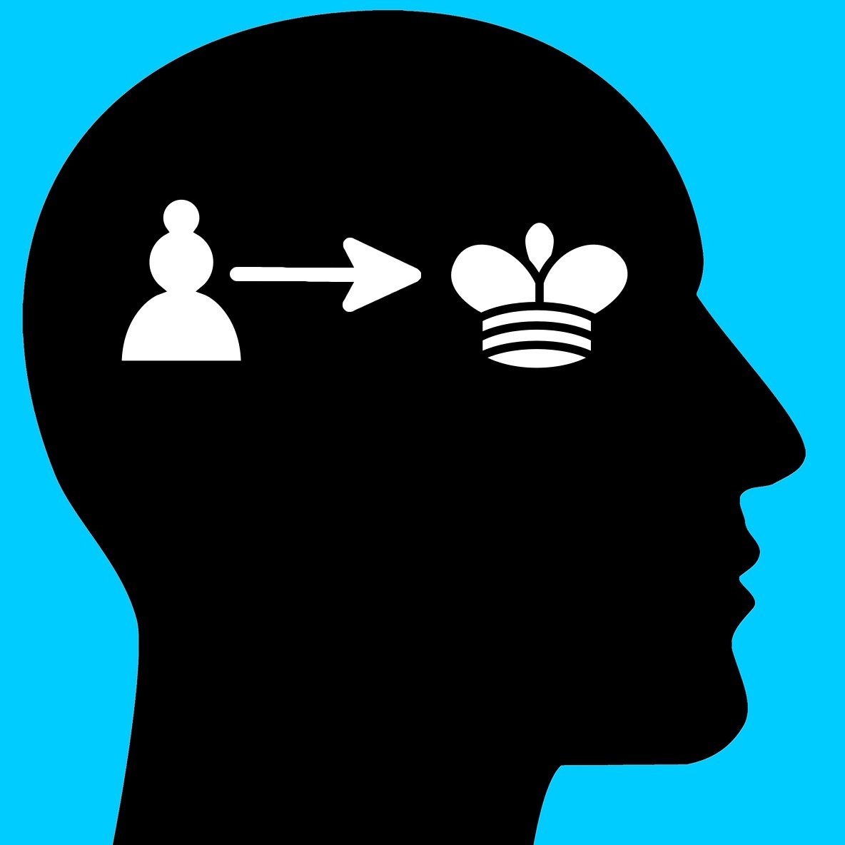 purefan_chess's profile picture. Chess streamer on https://t.co/A0X7b9ag33
