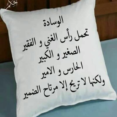 SCxb90dObLD4f8j's profile picture. 