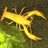 UWJLHVAVEwmkAs7's profile image