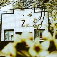 Zanzabar (@thezanzabar) 's Twitter Profile