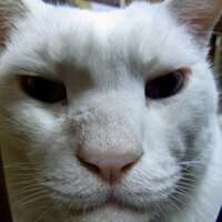 Sorano Miyauchi (@soraketta) Twitter profile photo