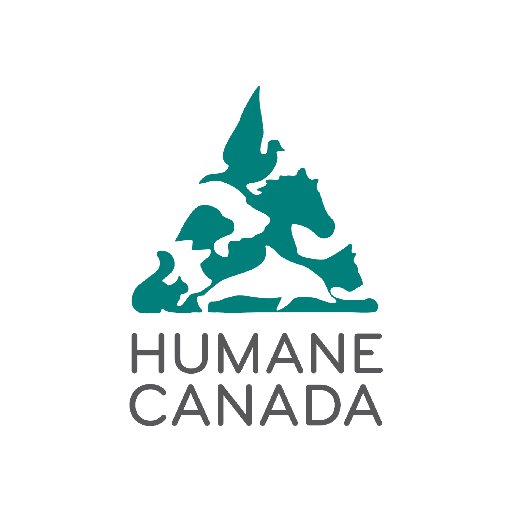 We are Canada's federation of SPCAs & humane societies, and the national voice of animal welfare.

Accredited by @ImagineCanada