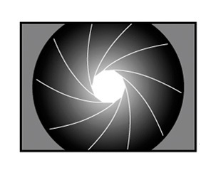 metropolex's profile picture. Cordovite.