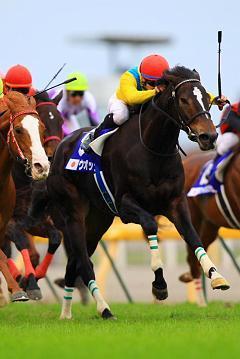 競馬と野球ファンの３０代です