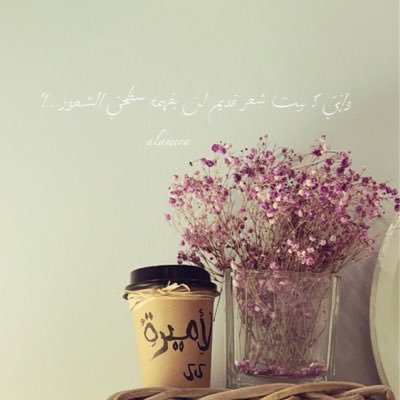 alamera46599962's profile picture. (instagram)                           ___alamera55