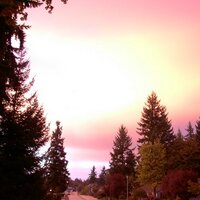 Vancouver Washington (@vancouverwaport) 's Twitter Profile