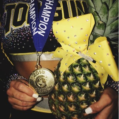 I was a normal pineapple on a shelf and then I won worlds with topgun OO5