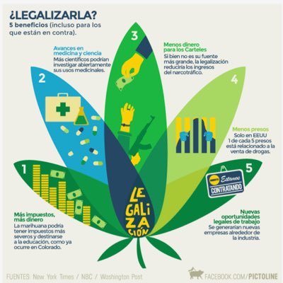 Buscamos crear contenidos que ayuden a fomentar el uso de la planta, su legislación y demostrarles que la marihuana legal nos conviene a todos.