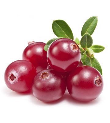 I will continue to send pictures of cranberries to Jontron until he notices me.