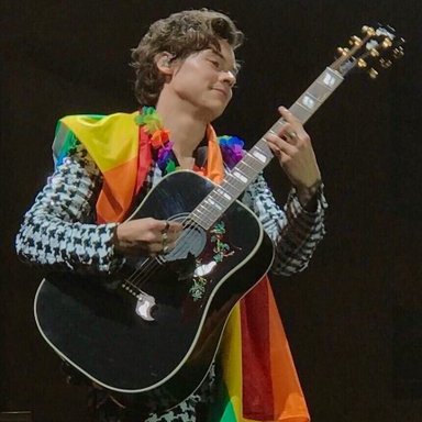 Harry Styles is performing at MSG two nights during New York City's PRIDE WEEK! We want the entire arena to be a RAINBOW!