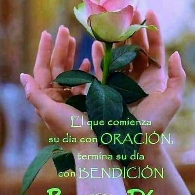 mayocoronado's profile picture. Pensamientos positivos y reflexiones .