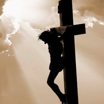 Christian who loves #Jesus , Against discrimination between Human on the basis of religion , care with the rights of refugees and human rights