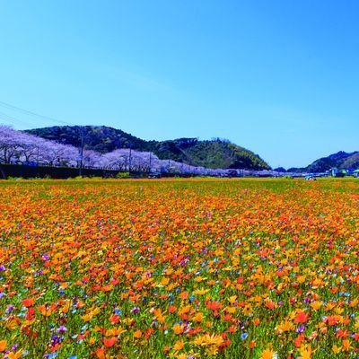 静岡県賀茂郡松崎町の観光情報を中心につぶやいていきます。中の人の独り言もたまにつぶやいたりつぶやかなかったり。