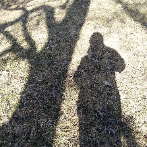 leinojoh's profile picture. Viestinnän asiantuntija @THLorg. Twiittejä viestinnästä, kielestä ja terveydestä.