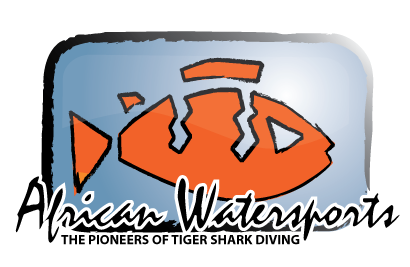 Shark Diving Specialists. Sardine Run, Nile Crocodiles, Aliwal Shoal Reef and Shark Diving, Bed and Breakfast @seascapes