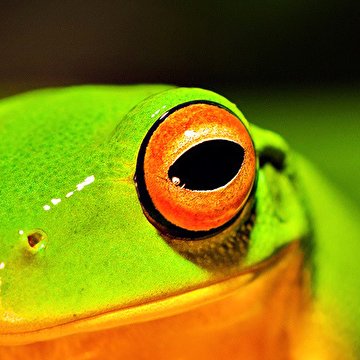 viktorantoncev1's profile picture. #фолловинг #follow4follow #followtrain #IFollowBack #follow #FOLLOWME #followme #follo #following #читаювзаимно #followback