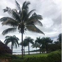 Nick Anim (@nickgreenergy) 's Twitter Profile Photo Nick Anim (@nickgreenergy) 's Twitter Profile Photo