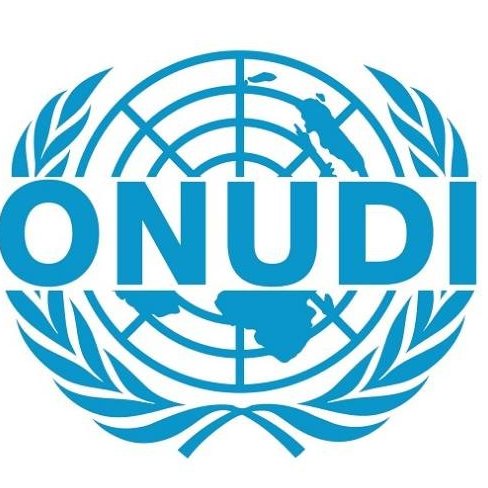 Oficina Regional de la Organización de las Naciones Unidas para el Desarrollo Industrial para Argentina, Chile, Paraguay y Uruguay.