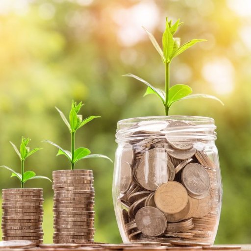 Helping others save money and live a life of minimalism