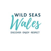 Wild Seas Wales(@wildseaswales) 's Twitter Profile Photo