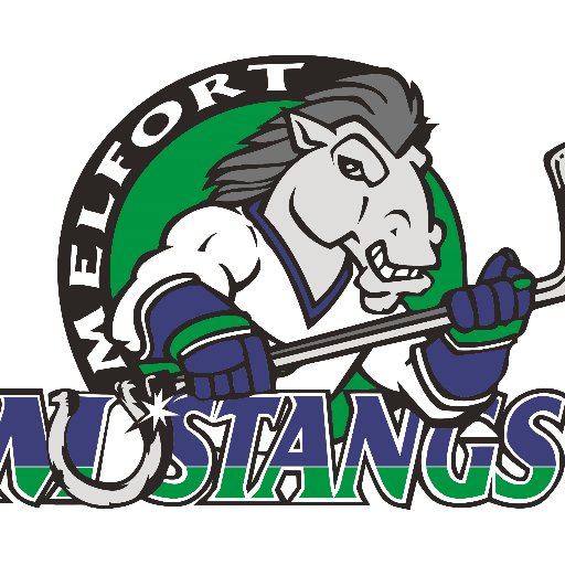 SJHL_Mustangs Profile Picture