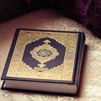 ف خ ا م ة (@gr_li_co494) Twitter profile photo