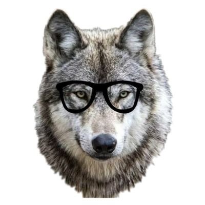 theDopeday's profile picture. Despacito... !

political Wolf,

Die Hard @strefie fan !

Maths छोड़ के सब आता है, 
मराठा , proudly followed by @SuPriyoBabul ! 
Proud Hindu !
Jai Mahakaal !!!