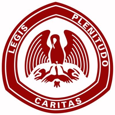 RosminiSchool's profile picture. 