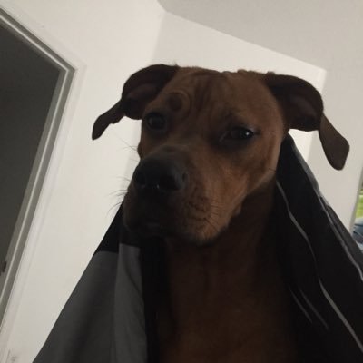 jlew2896's profile picture. 