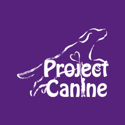 A 501c3 non-profit providing therapy dog training, certification & outreach in Washington State. #therapydogs
