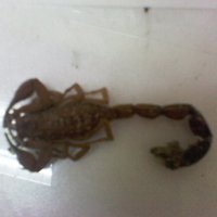 yonathan (@extranjero742) 's Twitter Profile