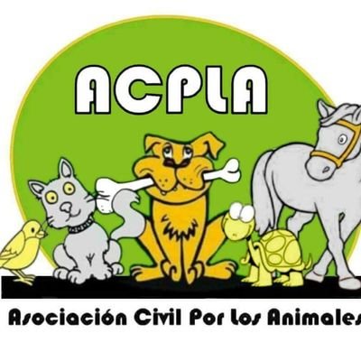 Voluntariado en el refu (limpieza paseos vete balanceado materiales etc), ayudamos a otras causas con donaciones, campañas de identificación, etc 💖🐶